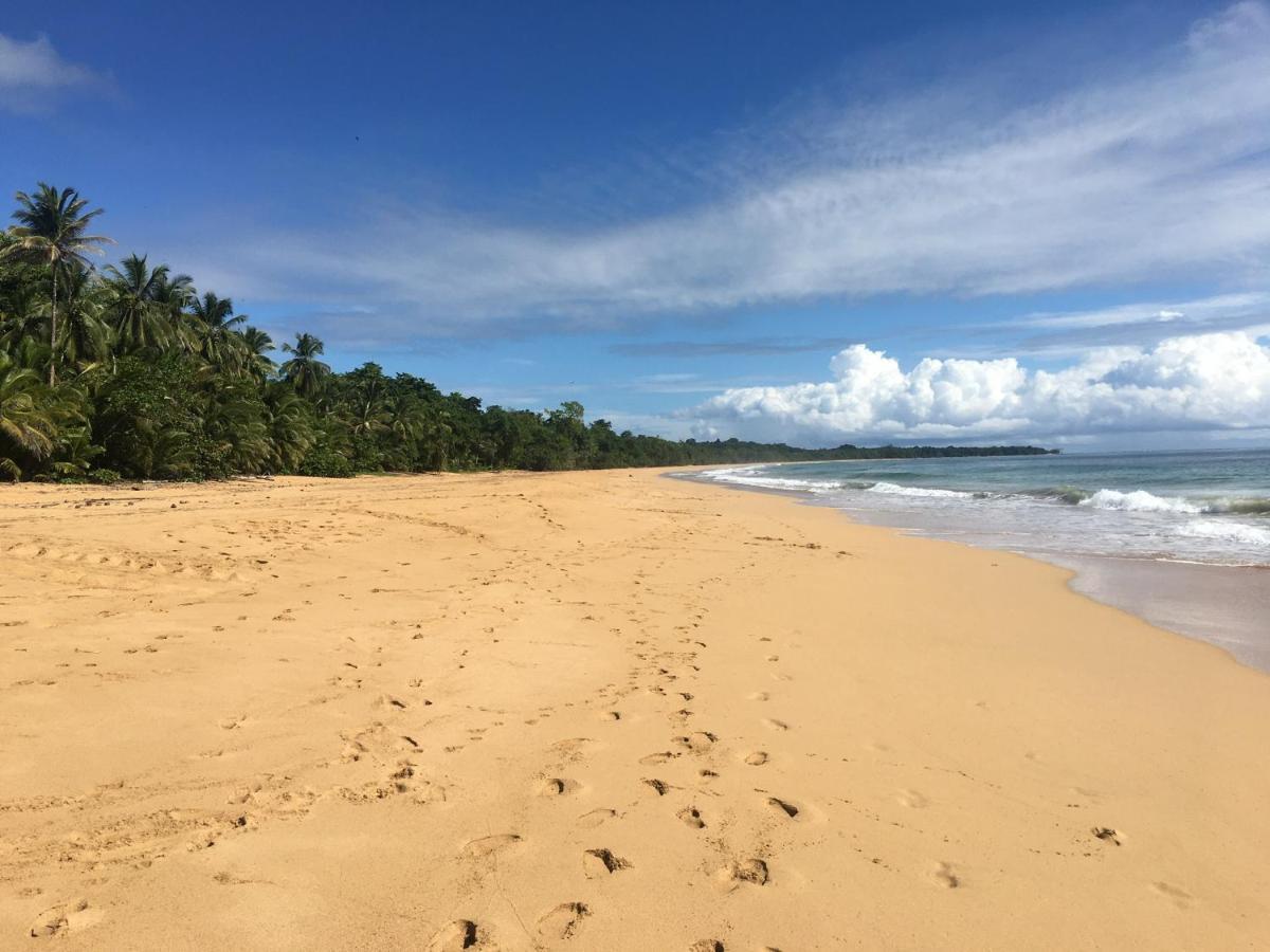 Jungle Bluff Beach Paradise - Jungle House Bocas del Toro Buitenkant foto