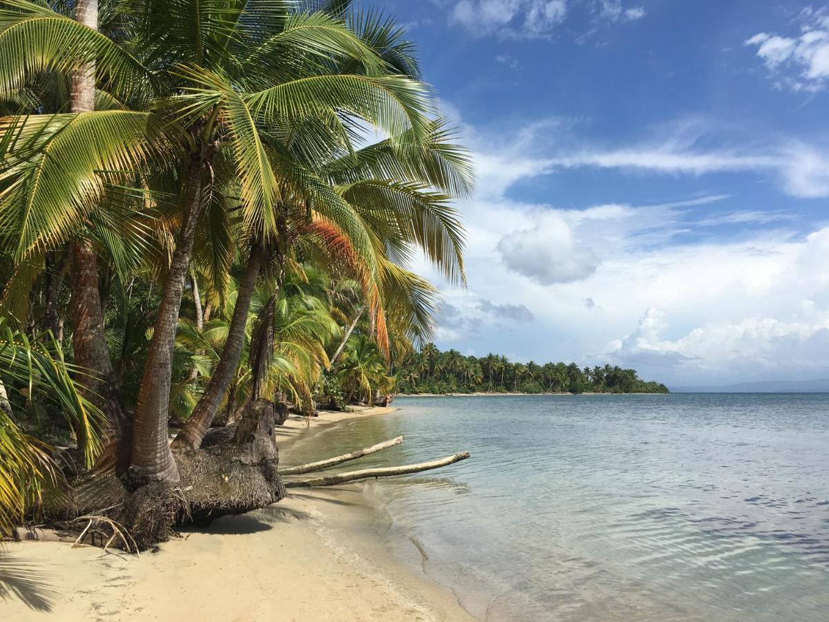 Jungle Bluff Beach Paradise - Jungle House Bocas del Toro Buitenkant foto