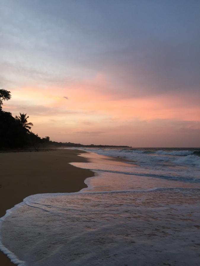 Jungle Bluff Beach Paradise - Jungle House Bocas del Toro Buitenkant foto
