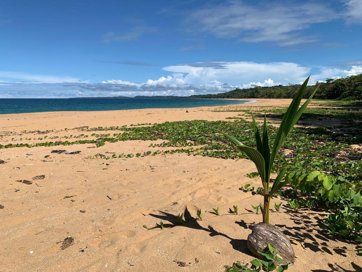 Jungle Bluff Beach Paradise - Jungle House Bocas del Toro Buitenkant foto