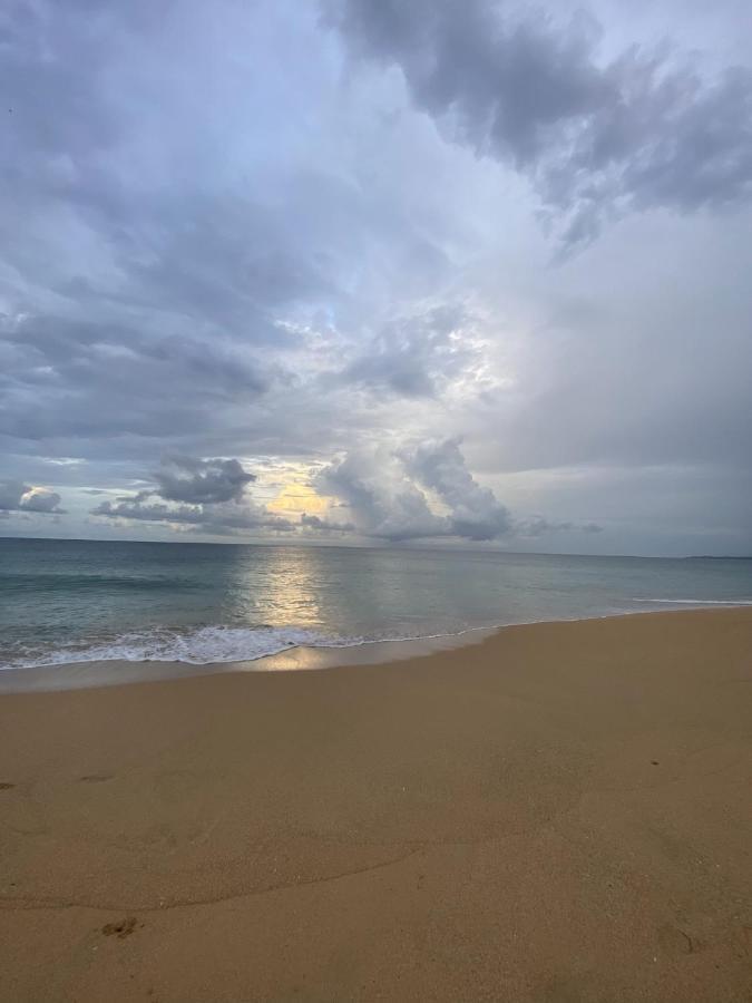 Jungle Bluff Beach Paradise - Jungle House Bocas del Toro Buitenkant foto
