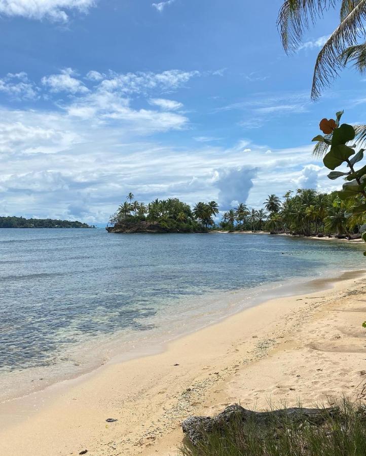 Jungle Bluff Beach Paradise - Jungle House Bocas del Toro Buitenkant foto