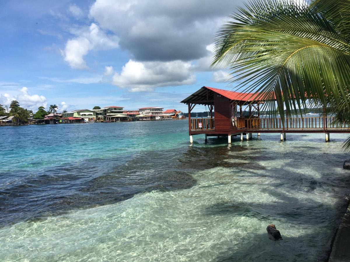 Jungle Bluff Beach Paradise - Jungle House Bocas del Toro Buitenkant foto