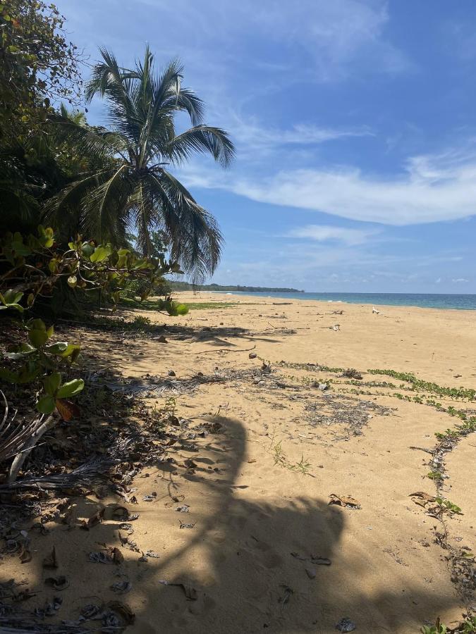 Jungle Bluff Beach Paradise - Jungle House Bocas del Toro Buitenkant foto