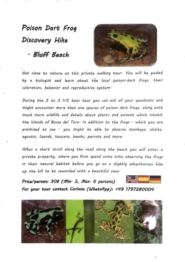 Jungle Bluff Beach Paradise - Jungle House Bocas del Toro Buitenkant foto
