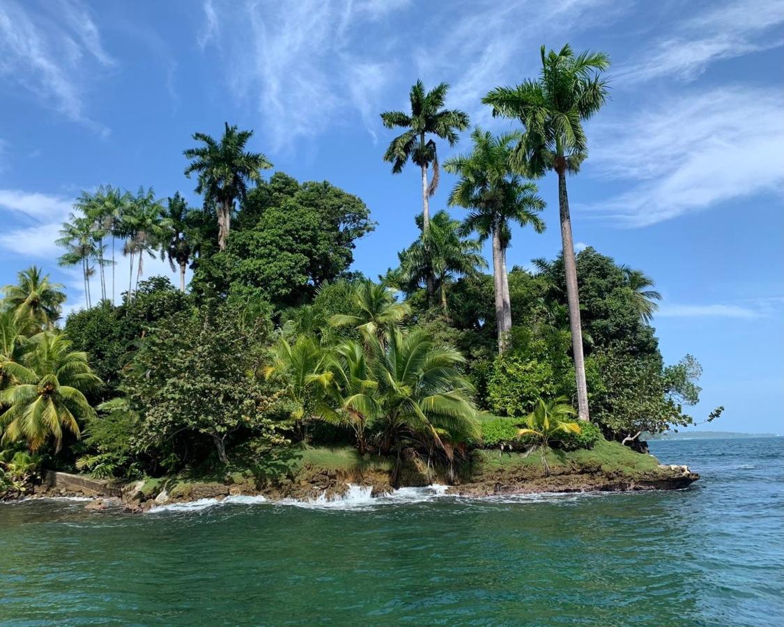 Jungle Bluff Beach Paradise - Jungle House Bocas del Toro Buitenkant foto