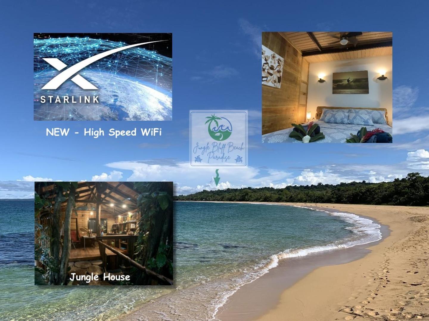 Jungle Bluff Beach Paradise - Jungle House Bocas del Toro Buitenkant foto
