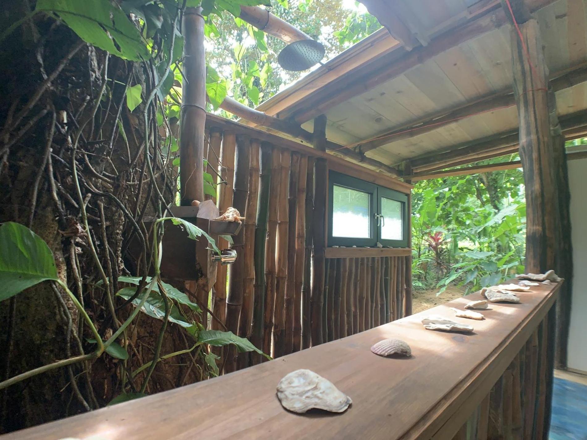 Jungle Bluff Beach Paradise - Jungle House Bocas del Toro Kamer foto
